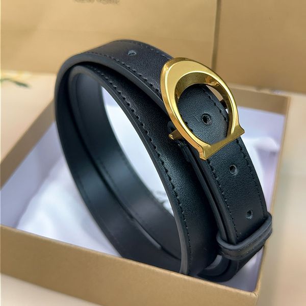 luxury belt Fashion designer belt brand belts gold silver buckle cintura belts for women designer cinture width 2.5cm with box gift high quality 2025 - Fashion Accessories - orologiod